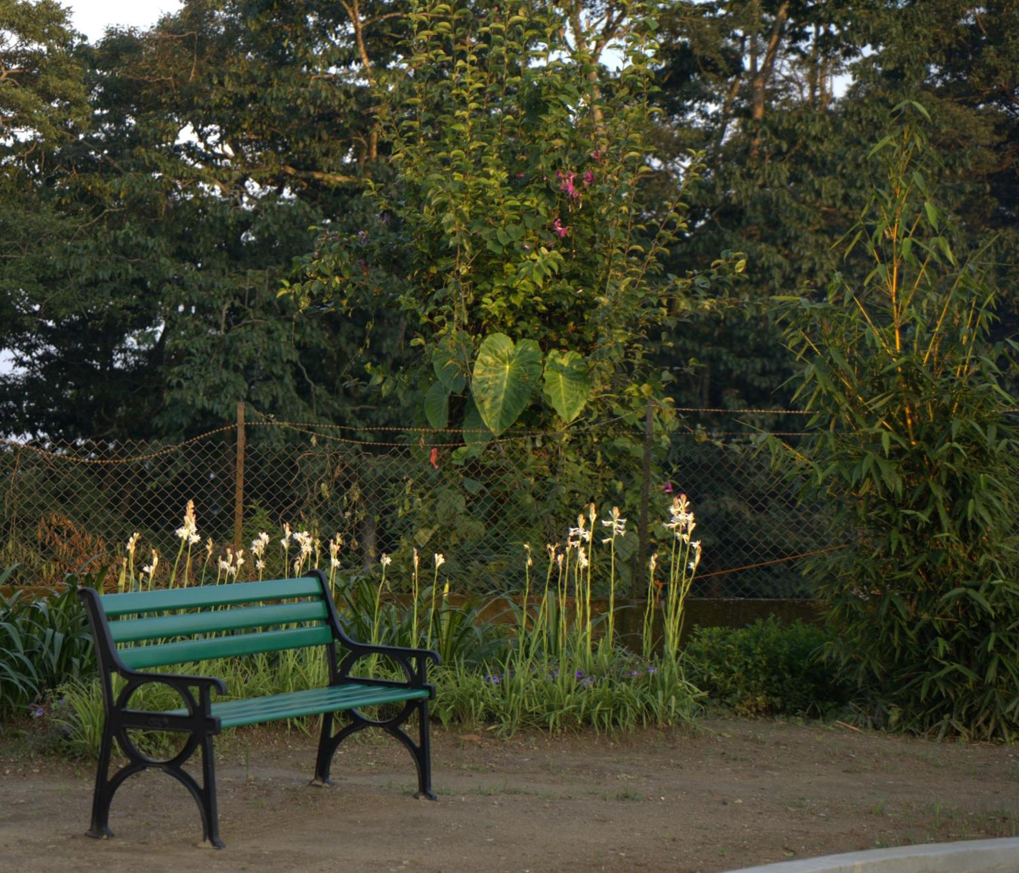 Niharika, The Old Place Kalimpong Ngoại thất bức ảnh